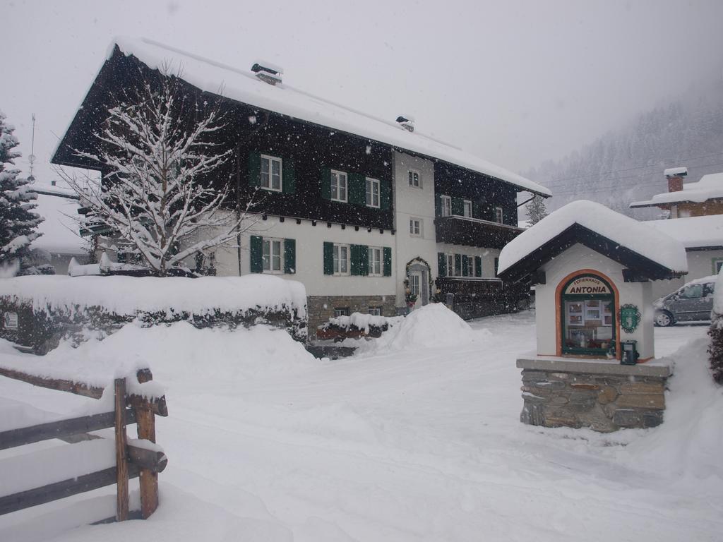 Ferienhaus Antonia Дорфгаштайн Экстерьер фото